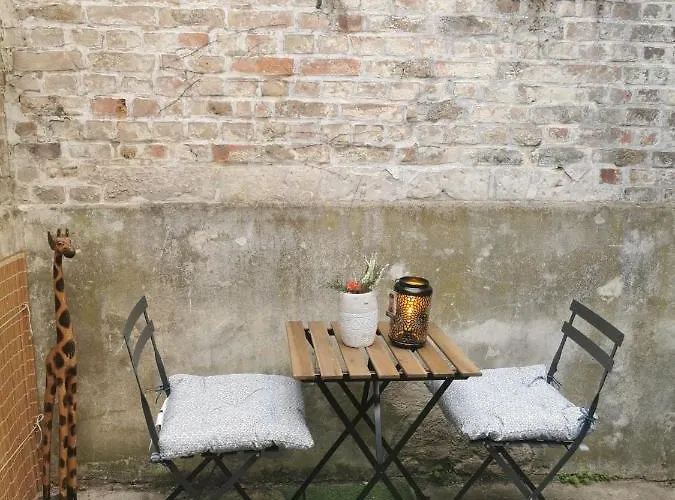 Cozy En Plein Centre Appartement